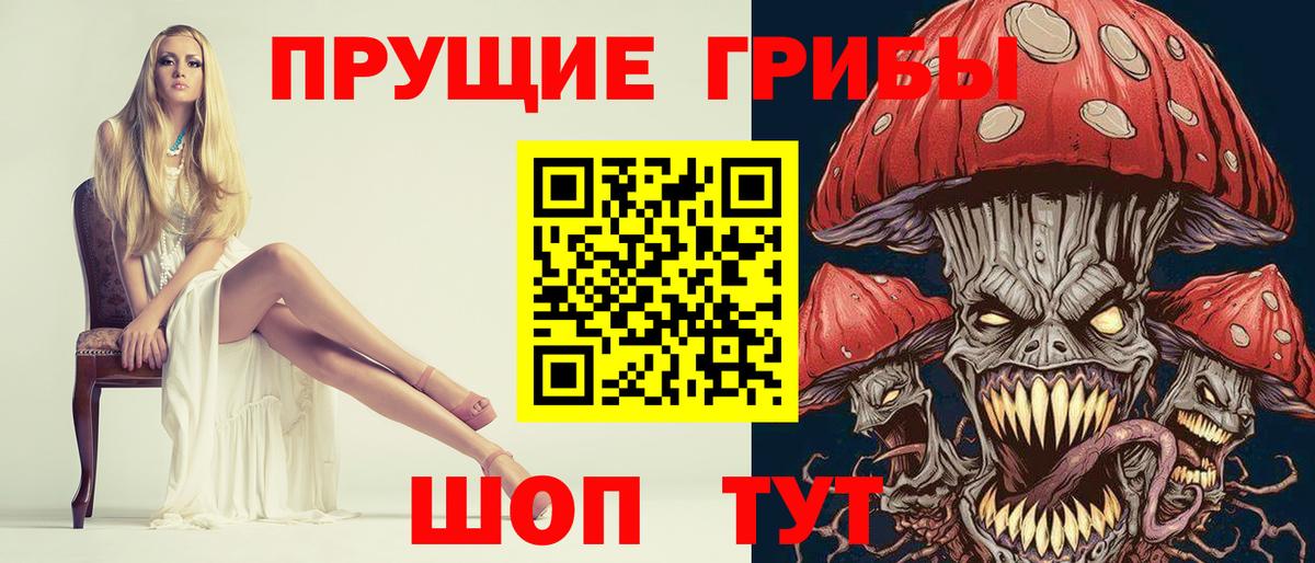 Галлюциногенные грибы Psilocybe Ишимбай