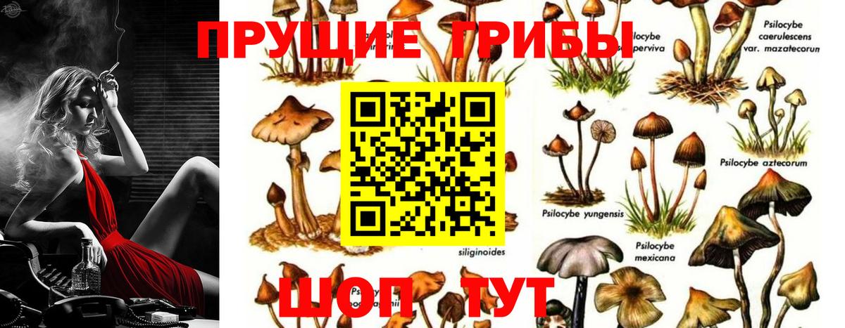 хочу наркоту  Вход с VPN  Ишимбай  Псилоцибиновые грибы MAGIC MUSHROOMS 